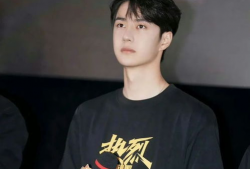 吃瓜爆料王一博,瓜田里的青春偶像